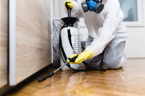 Best Local Pest Control Services  in Oologah, OK