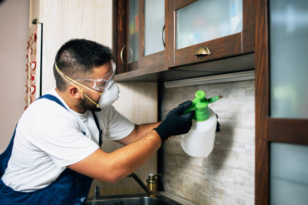 Best Best Pest Control Companies  in Oologah, OK