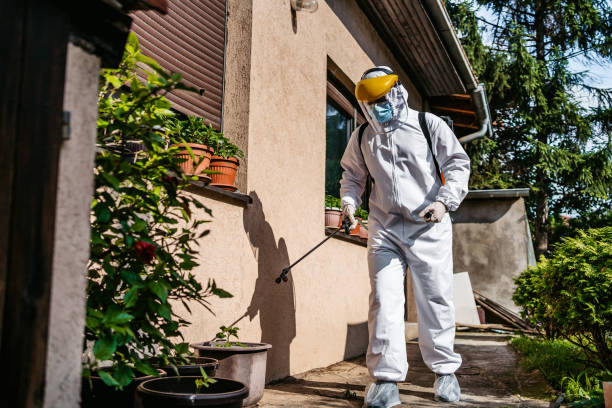 Best Termite Control Services  in Oologah, OK