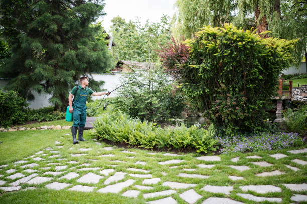 Best Pest Control Treatment  in Oologah, OK