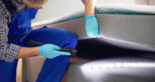 Best Pest Removal Services  in Oologah, OK