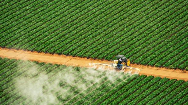 Wasp Removal Services in Oologah, OK