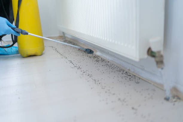 Best Wildlife Control Services  in Oologah, OK