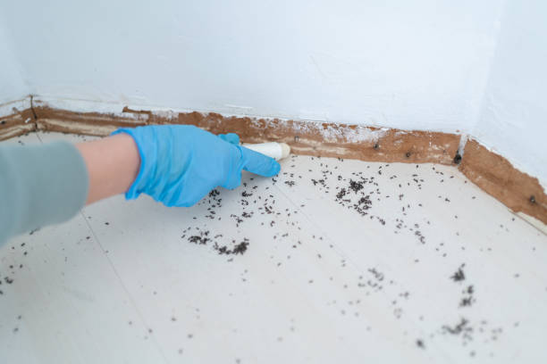 Best Termite Control Services  in Oologah, OK
