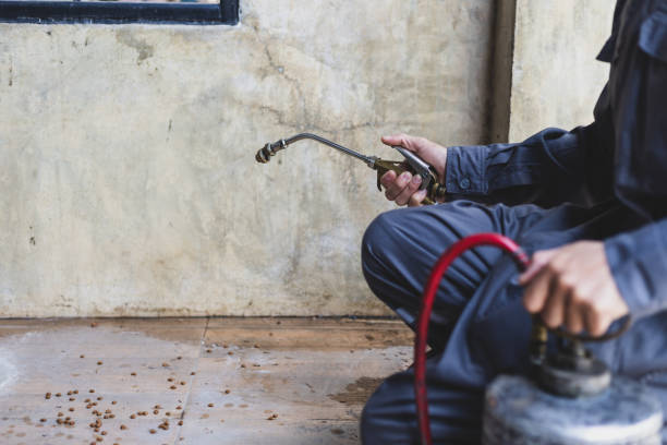 Best Residential Pest Control  in Oologah, OK