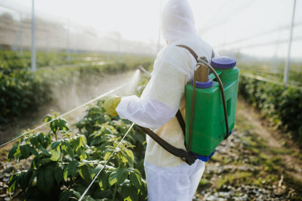 Best Pest Prevention Services  in Oologah, OK